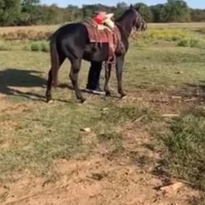 Meet your Posher, Primo